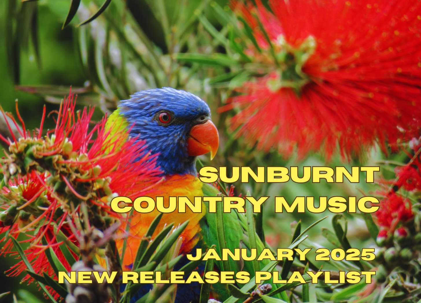 PLAYLIST: January 2026 new releases